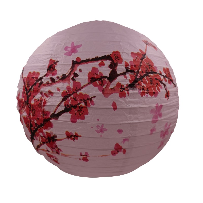 30 cm bedrukt papier Chinese s - Photography Of The Day recensie en prijs