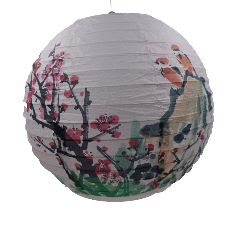 30 cm bedrukt papier Chinese s - Photography Of The Day recensie en prijs